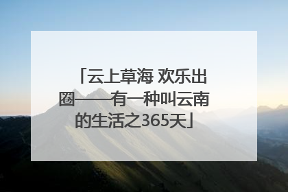 云上草海 欢乐出圈——有一种叫云南的生活之365天